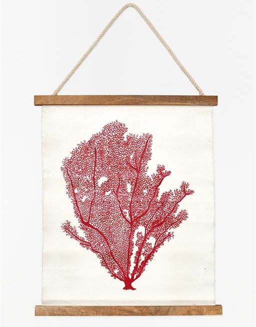 Poster Coral L48xH57cm