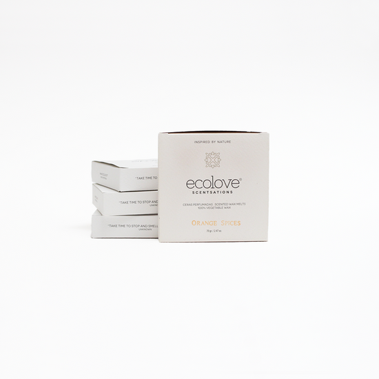 Cx.10 Corações Cera Perfumada Orange Spices