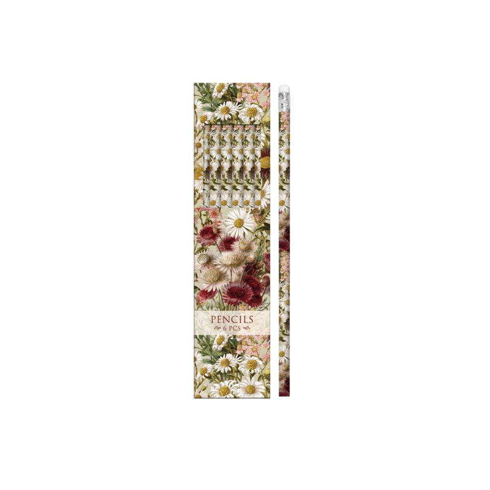 Conjunto 6 Lápis