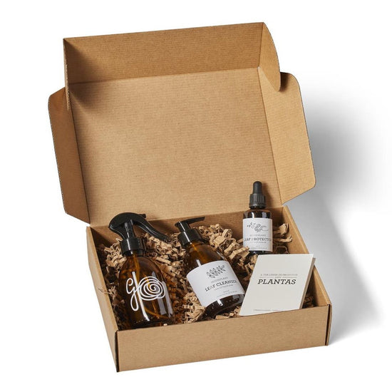GIFT PACK HOUSE PLANT SPA