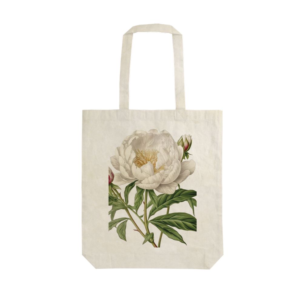 Saco Asa Algodão 38x42cm