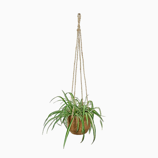Vaso p/Pendurar Juta Natural Ø16x90cm