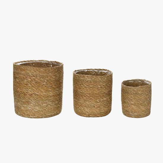 Vaso Hogla Natural