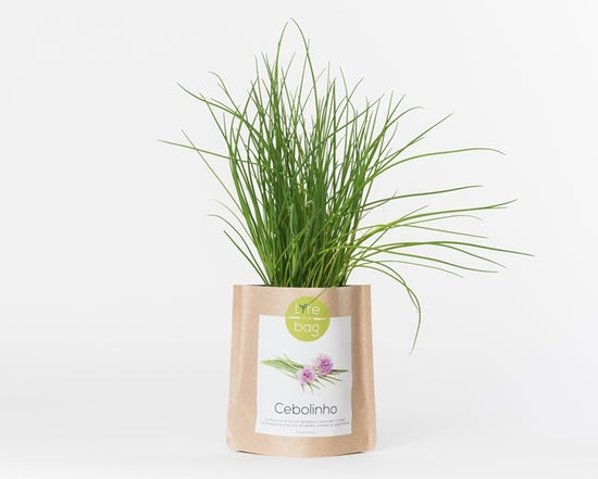 Grow Bag Cebolinho