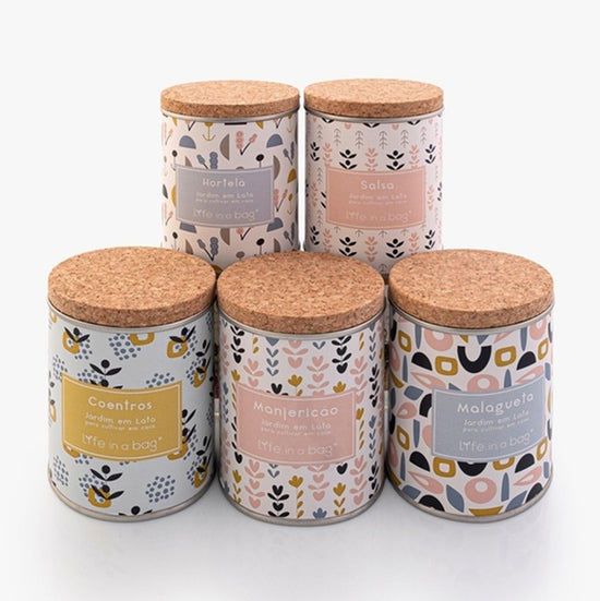 Jardim Lata MODERN Salsa