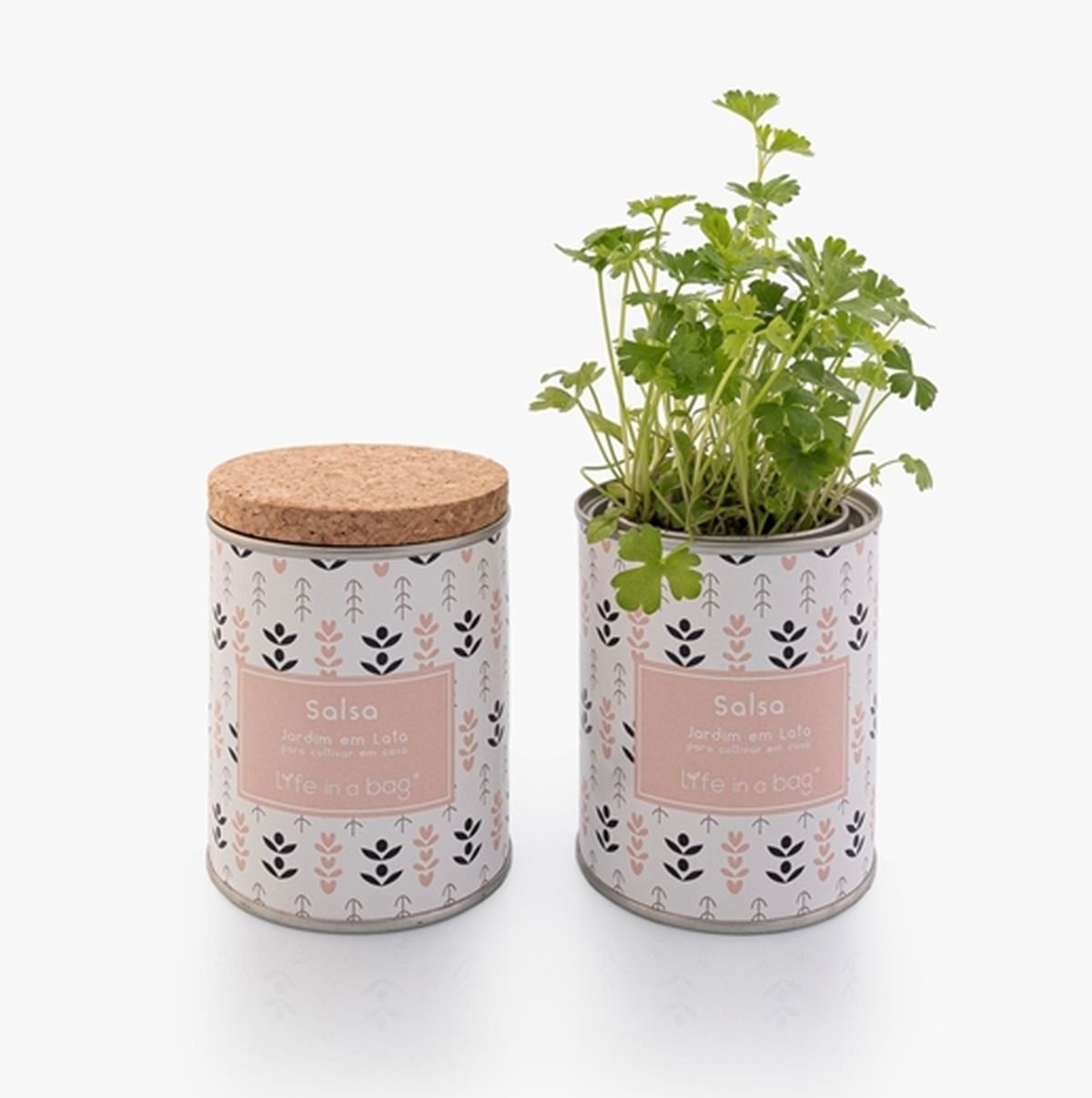 Jardim Lata MODERN Salsa