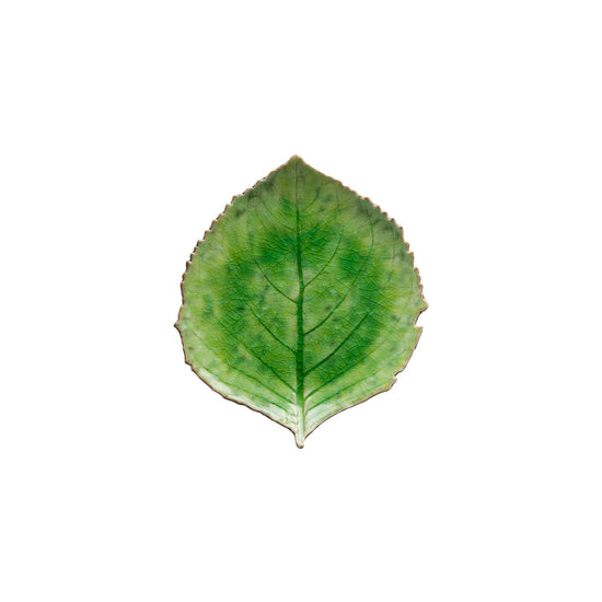 Folha Hortênsia RIVIERA