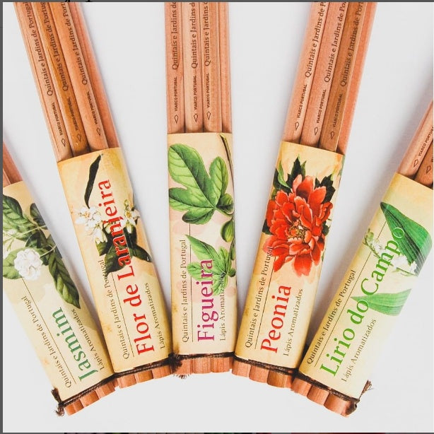 Conjunto 6 Lápis - Aroma Flor de Laranjeira