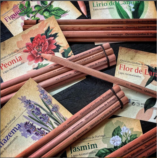Conjunto 6 Lápis - Aroma Peónia