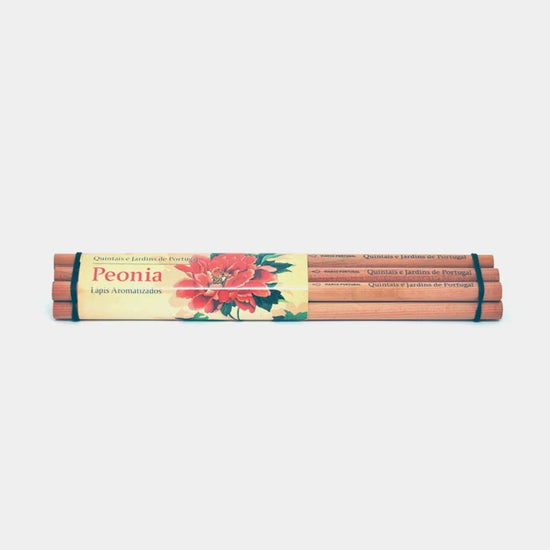 Conjunto 6 Lápis - Aroma Peónia